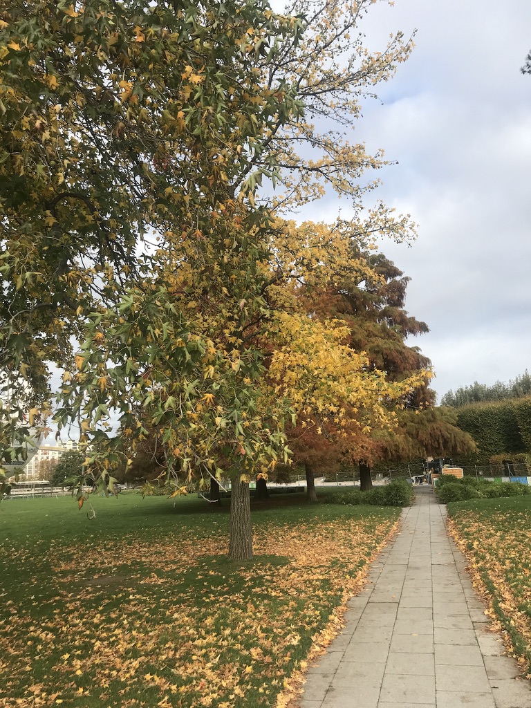 Parisian Parks